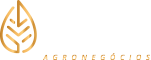 ouroterra©